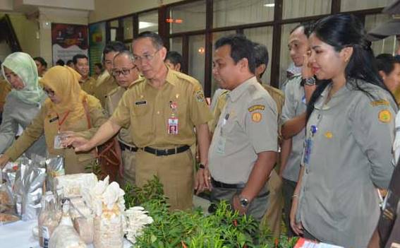 Petani Jaman Now, BPTP Kaltim Sosialisasi Varietas Benih Unggul via Medsos